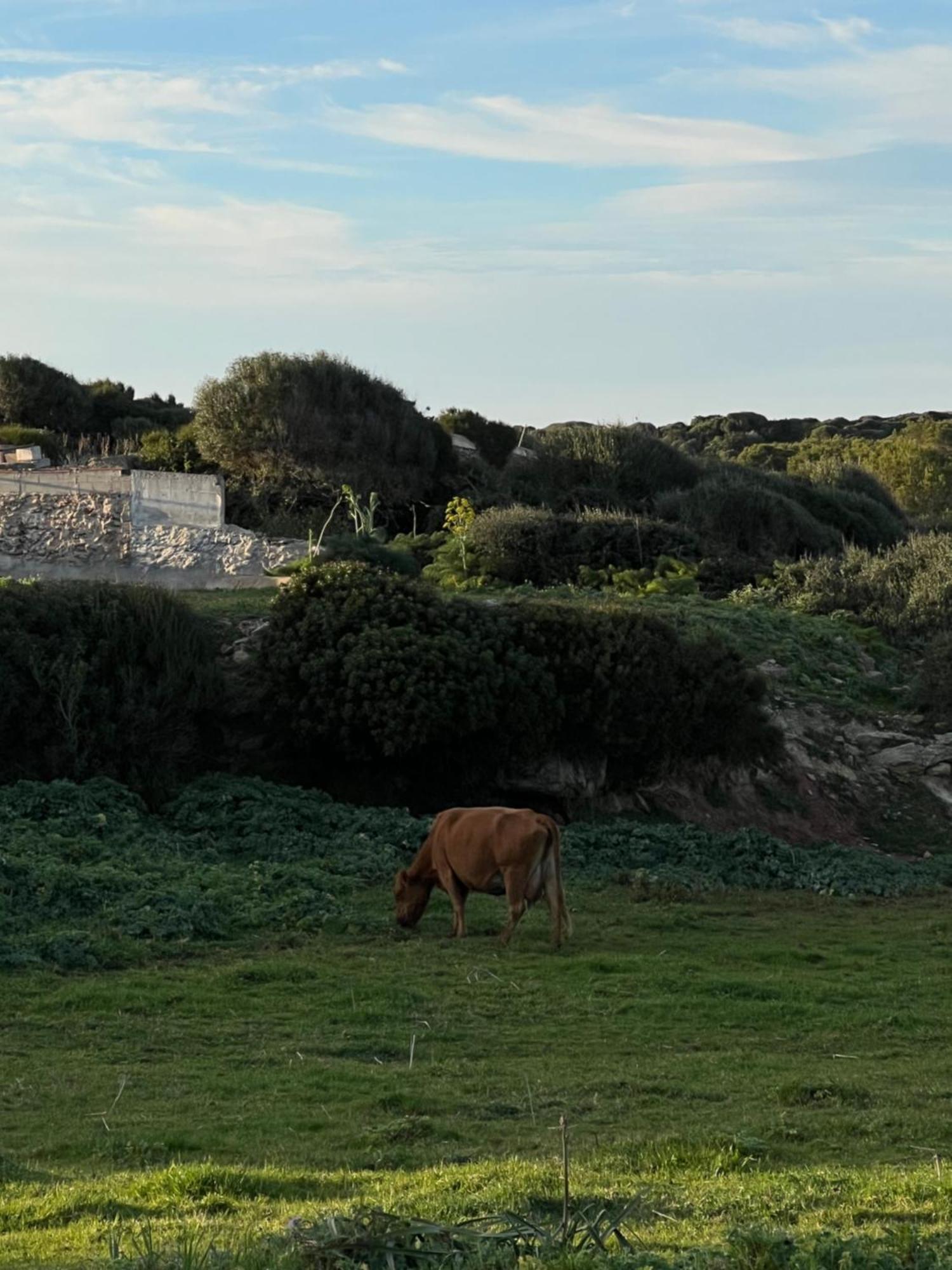 Mongofre Agroturismo Maó  Exterior foto